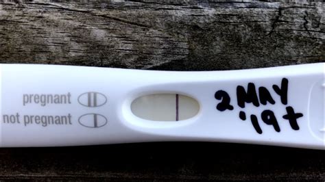 soft cervix but negative pregnancy test|cryptic pregnancy test negative.